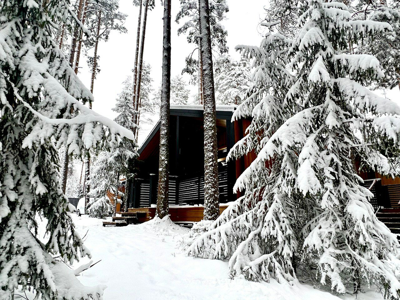 Фото Land Breeze