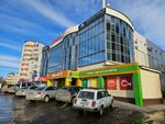 BestiЯ (Ryabikova Street, 75), showroom