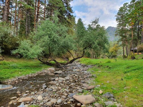 Дом в аренду Усадьба Горный Алтай в Чепоше