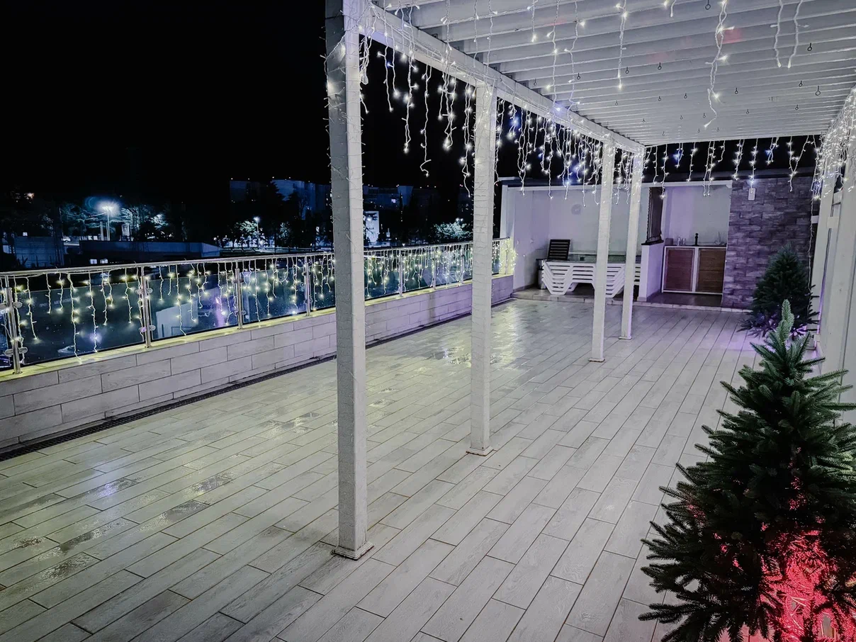 Фото Старый Лис