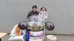 Cotton Candy (Tekirdag, Kapakli District, Karaagac Neighborhood, Turgut Reis Avenue, 17) ، الحلويات