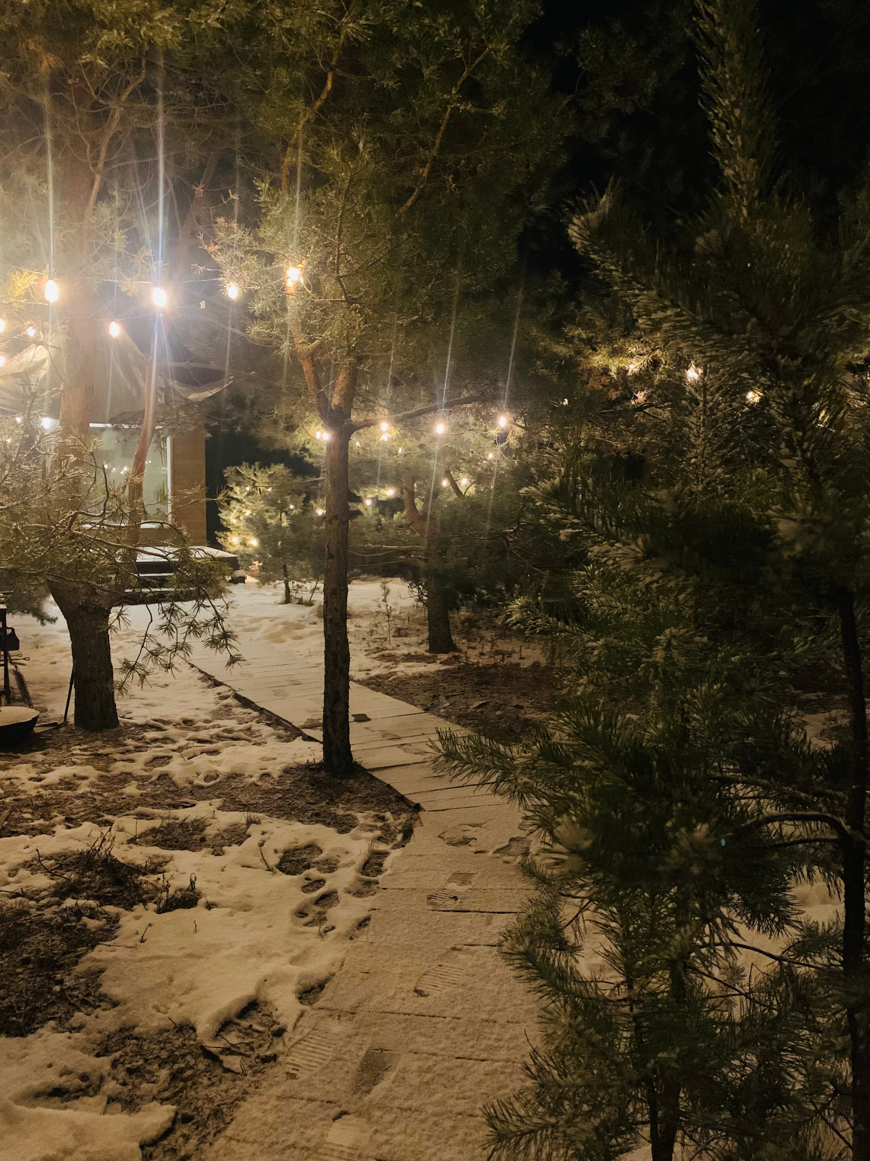 Фото Тишина