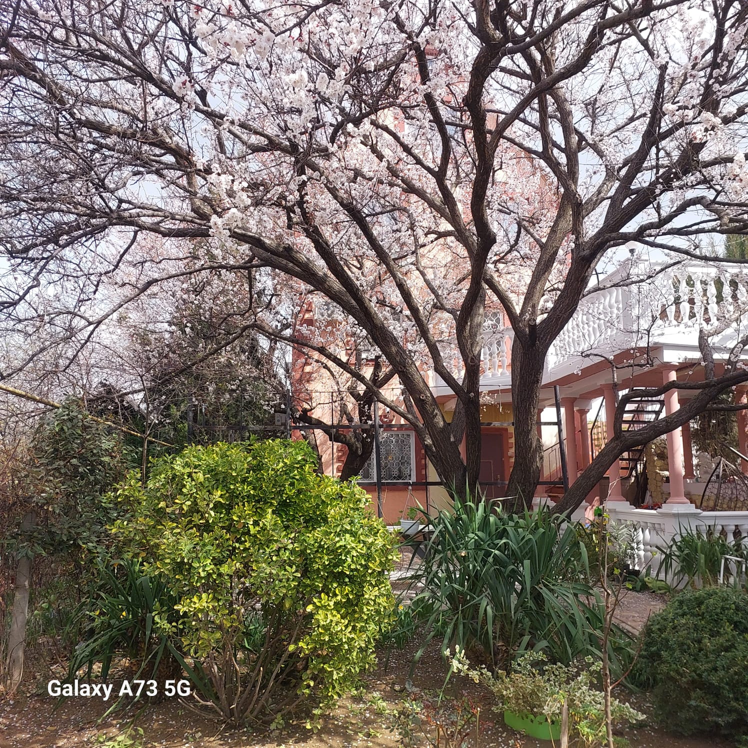 Фото Солнечный бриз