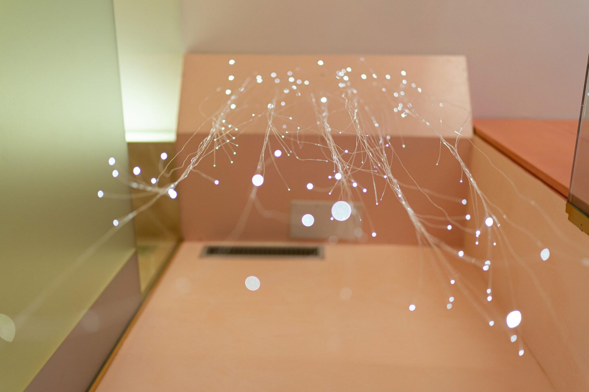 Фото Grand Hotel Cadenabbia