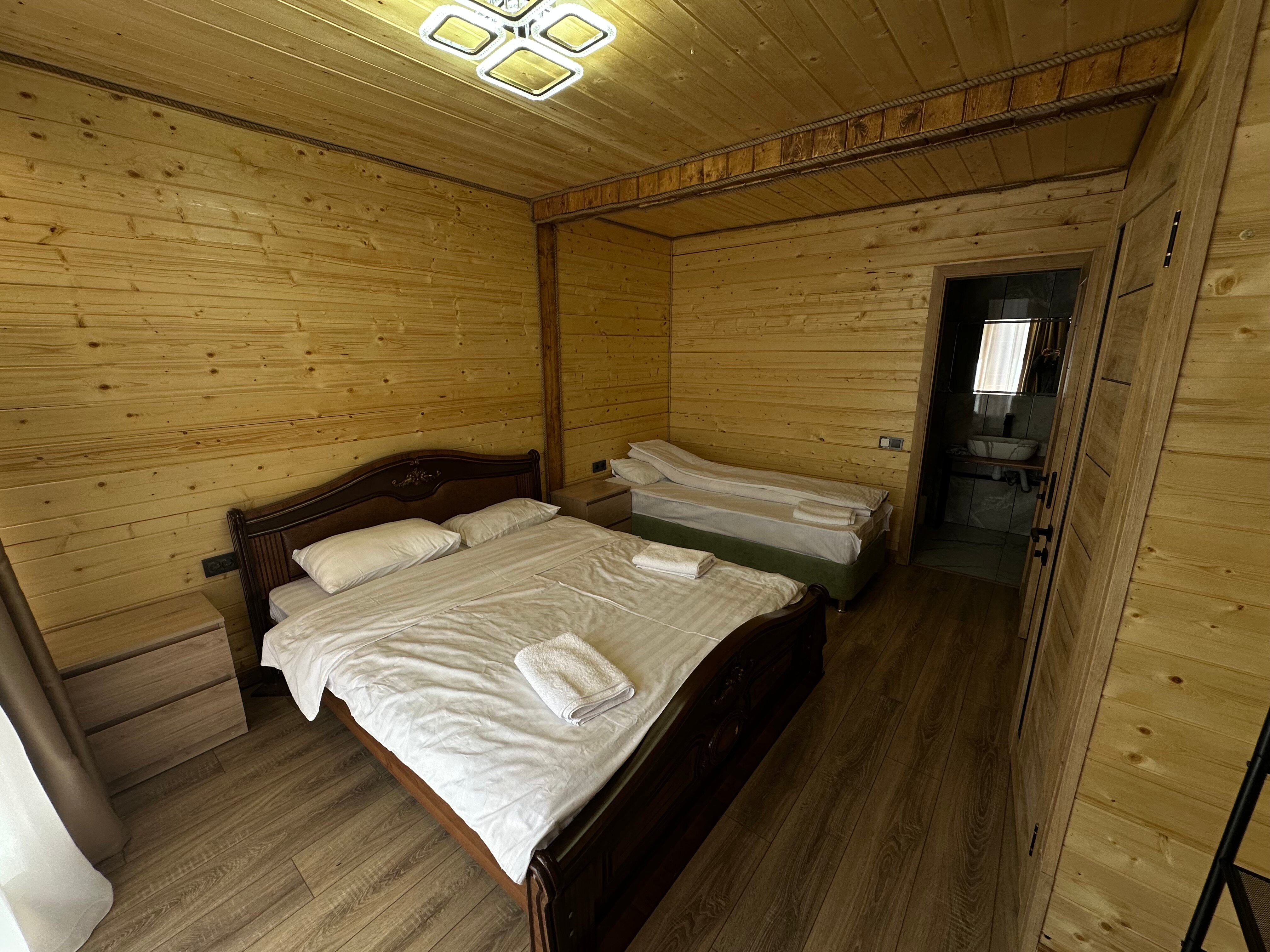 Фото 3 сосны