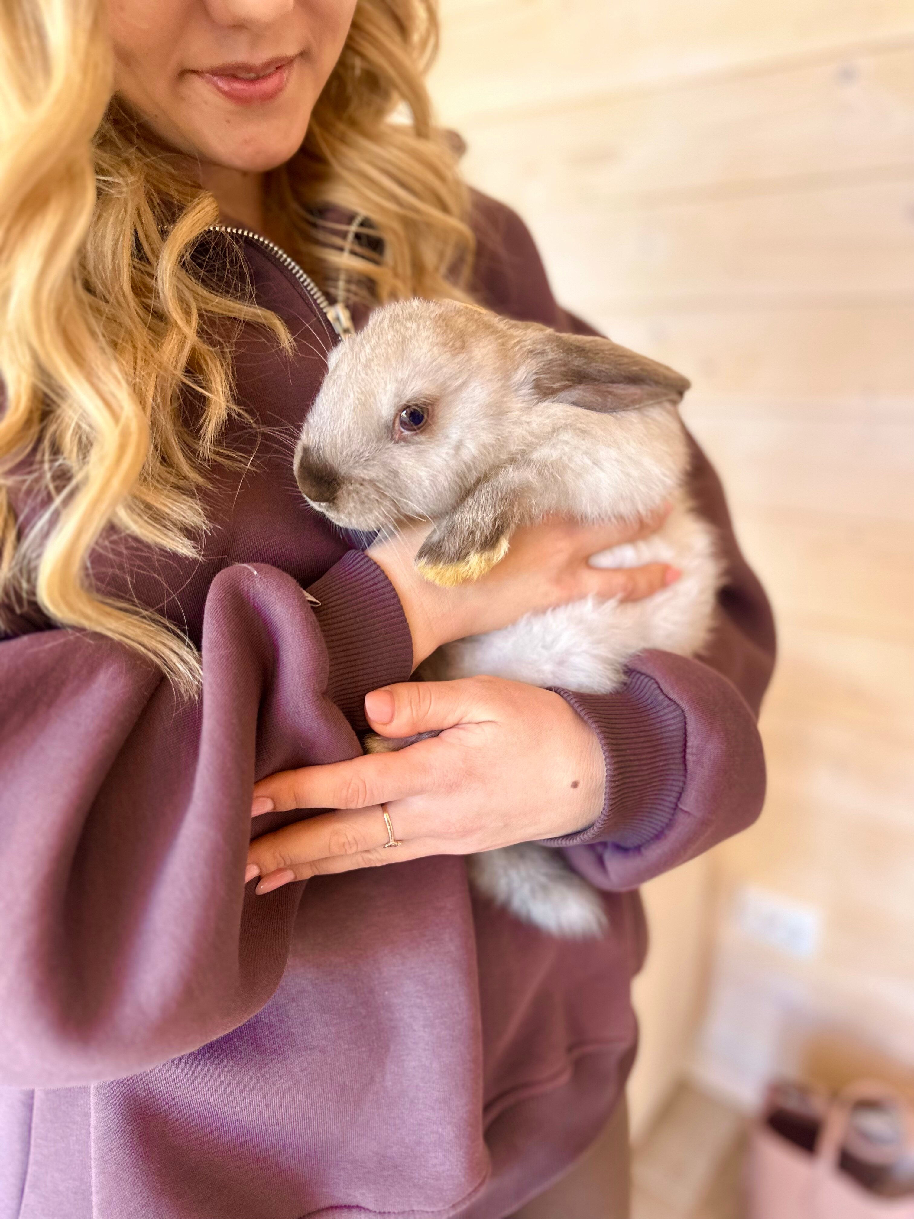 Фото Beauty Home