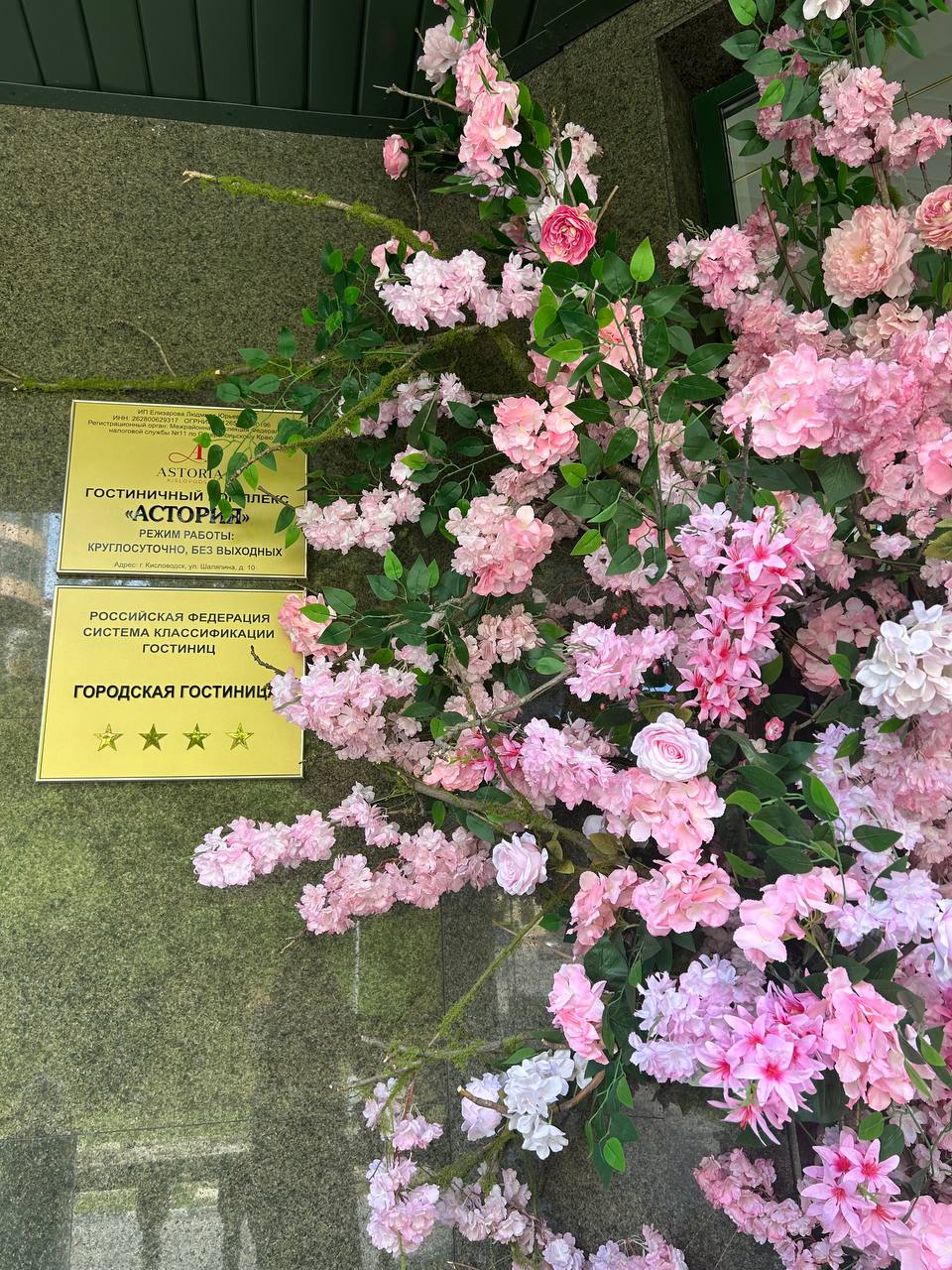 Фото Астория