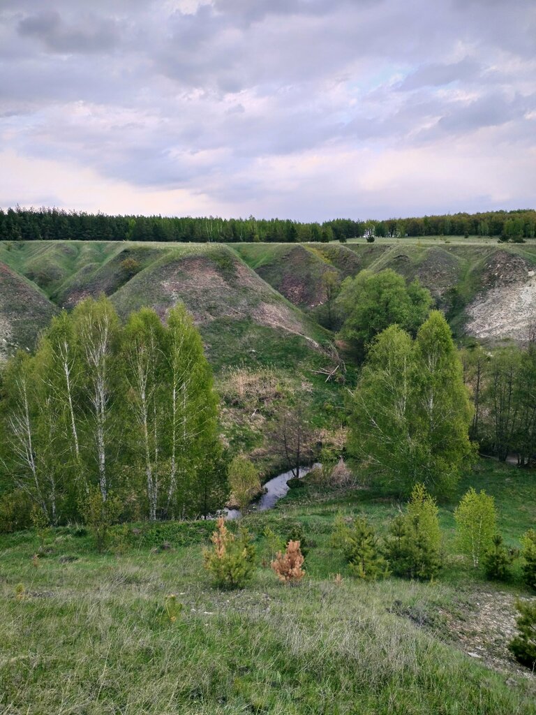 Spring, stream Плачущая стена, Saratov Oblast, photo