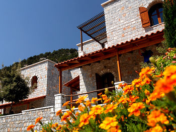 Фото Lefkoritis Resort