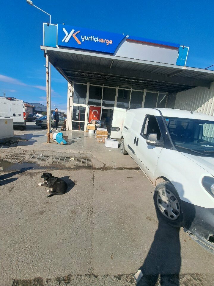 Freight forwarding Yurtiçi Kargo, Izmir, photo