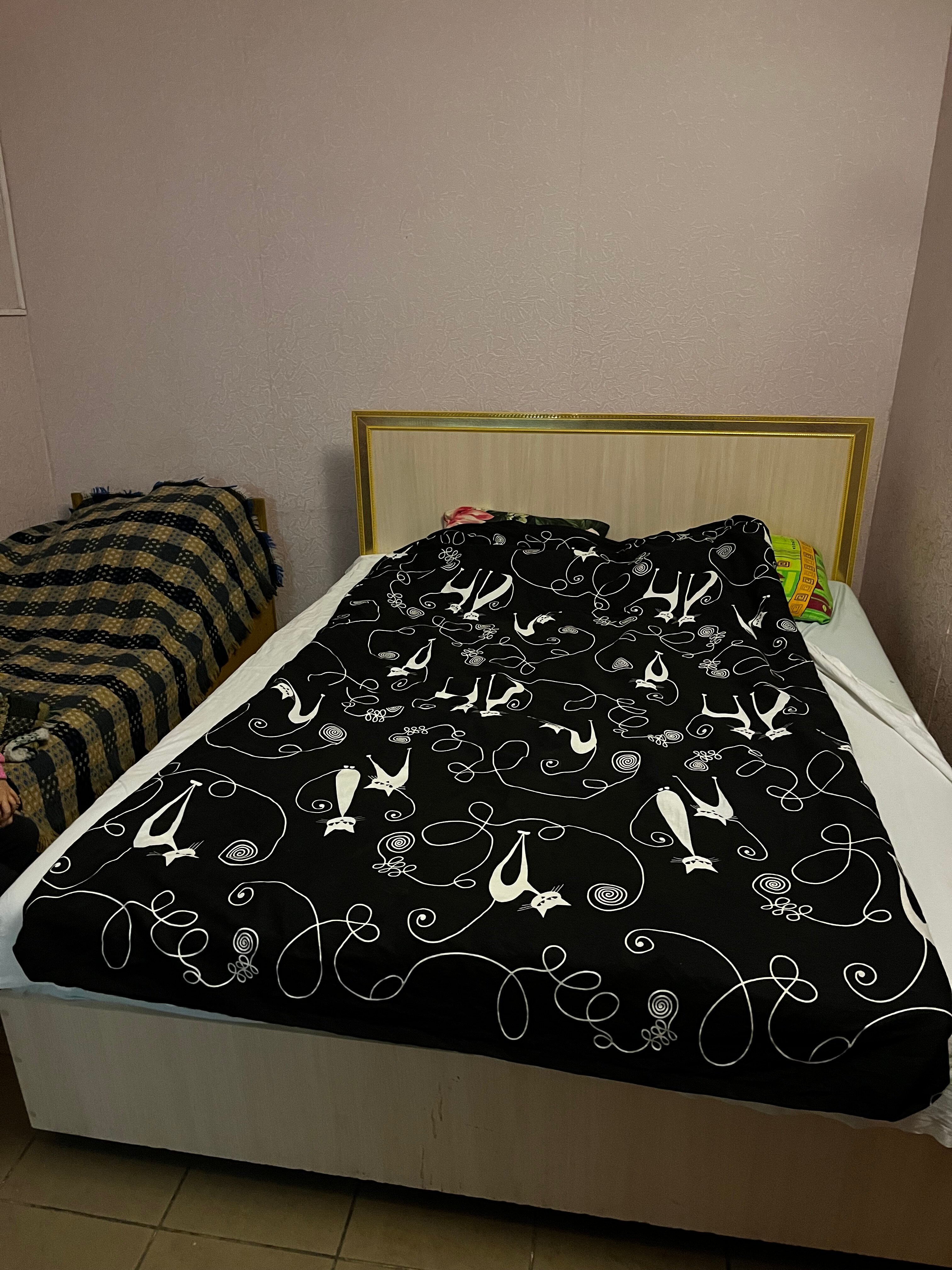 Фото Золотой пруд