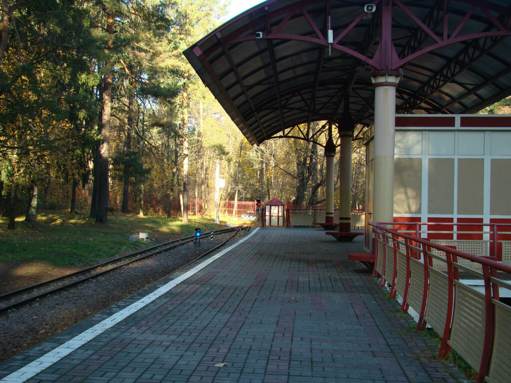 Railway operations and maintenance Carriage and locomotive depot, Moscow and Moscow Oblast, photo