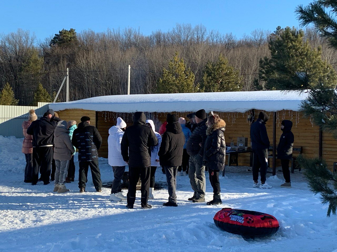 Фото Совушка