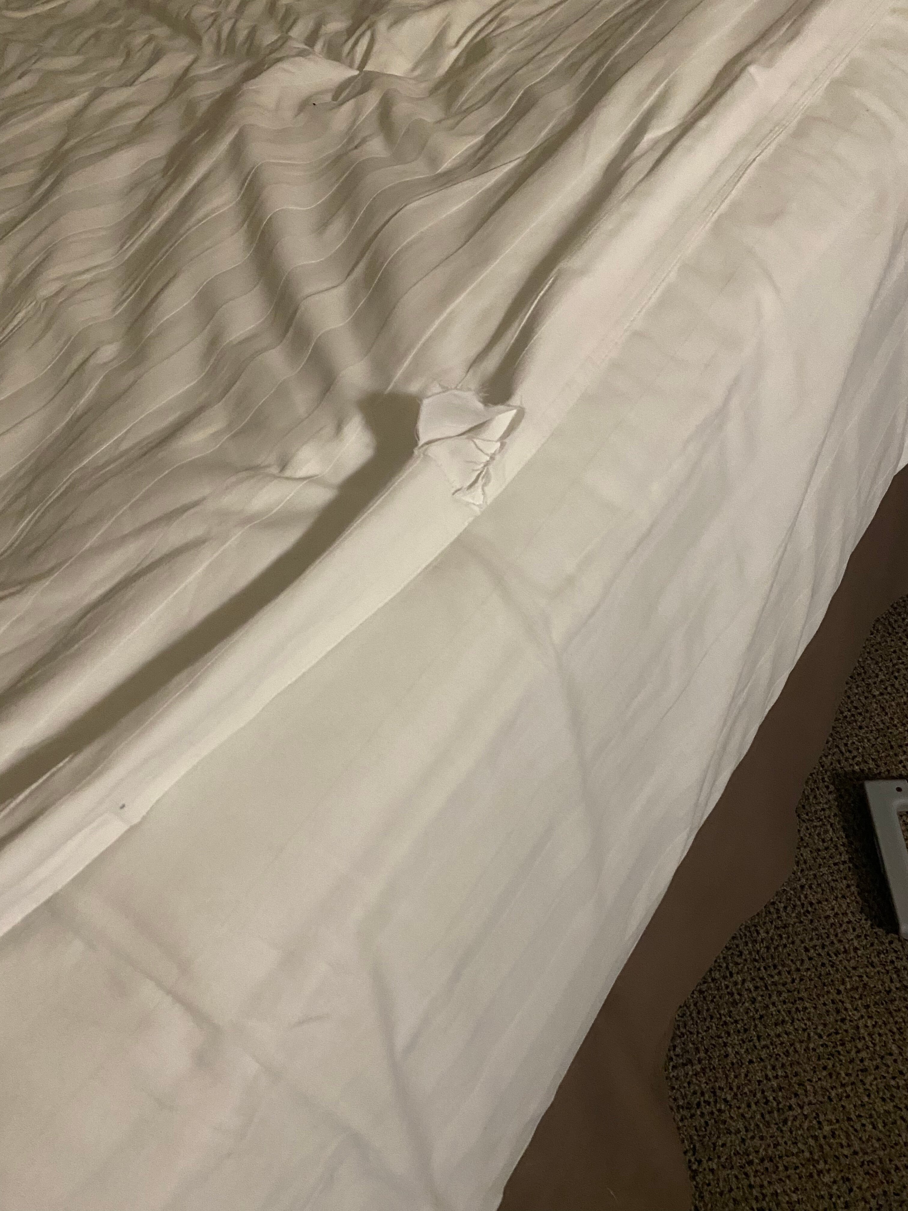 Фото City Hotel Bishkek