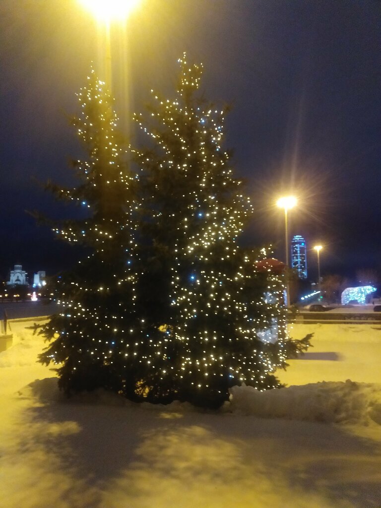 City tree Christmas tree, Yekaterinburg, photo