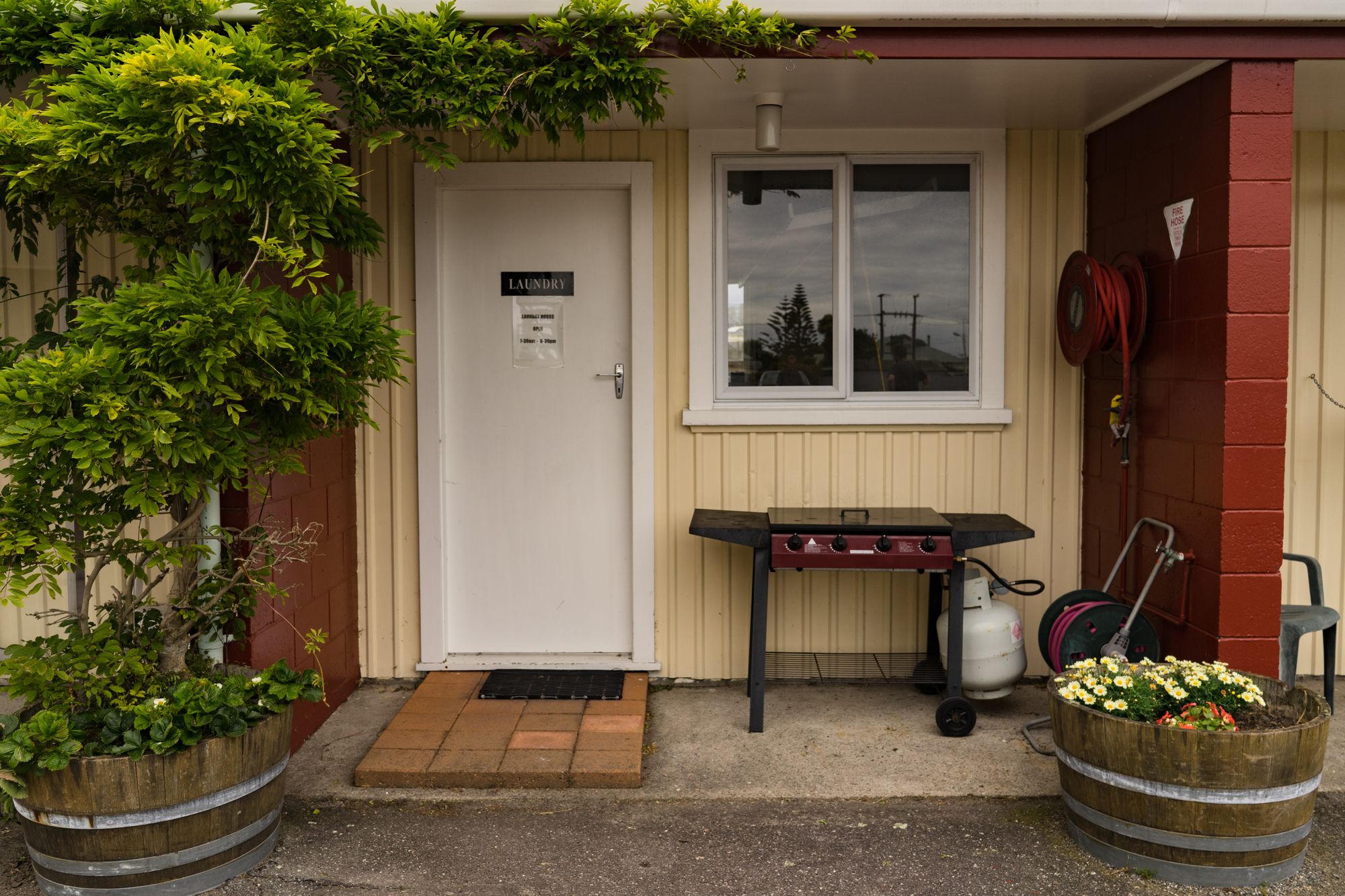 Фото Ascot Motor Lodge