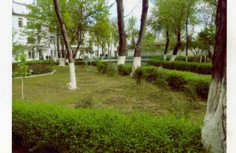 Kop azolari bilan devor orqali porno