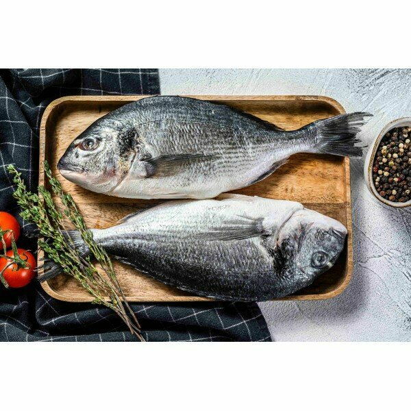 Fish and seafood East Fish Processing LLC, Ajman, photo