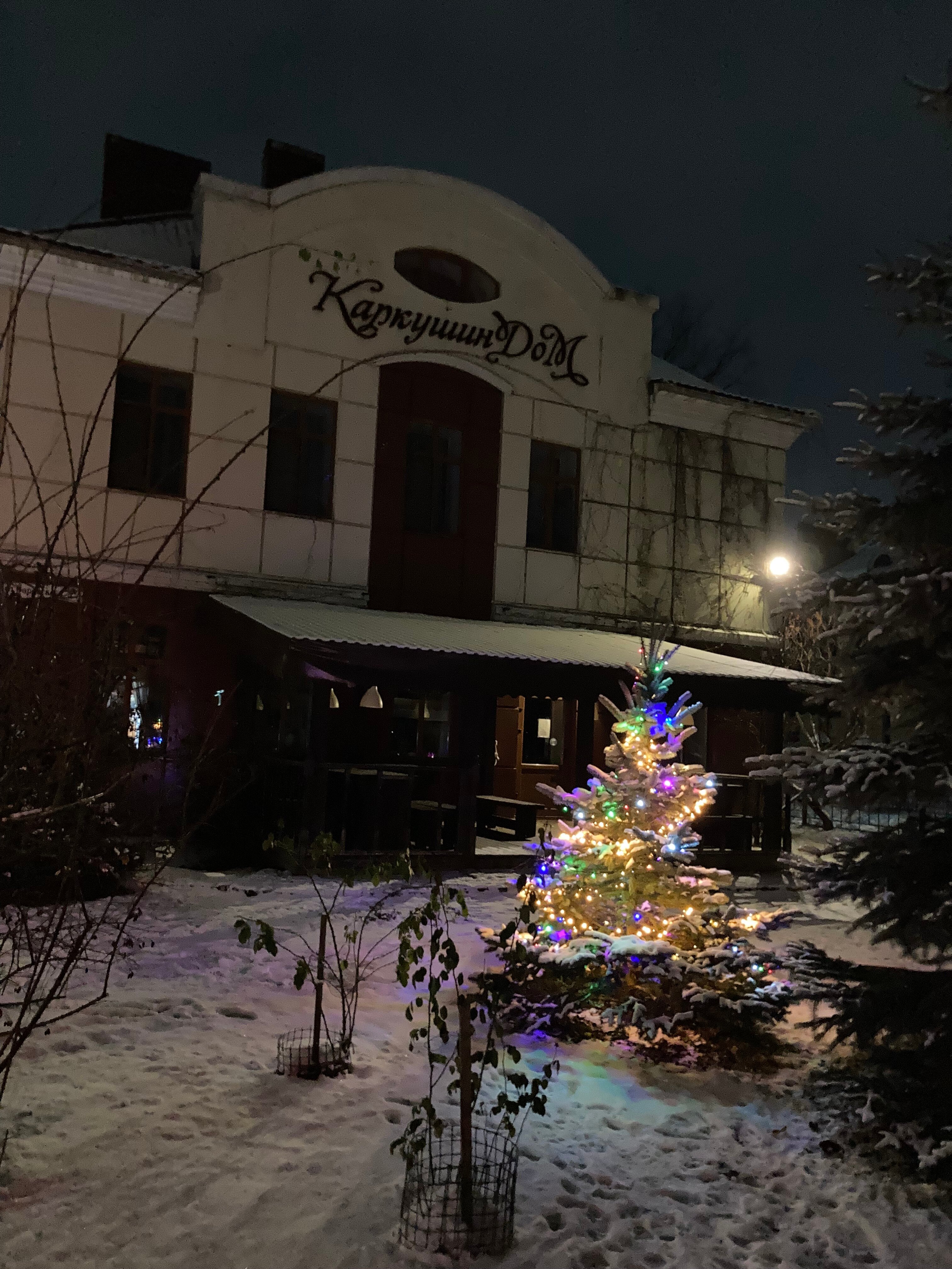 Фото Каркушин Дом