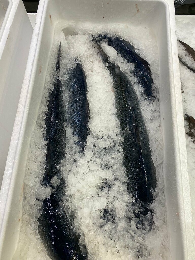 Fisheries, fish farming Инарктика, Murmansk, photo