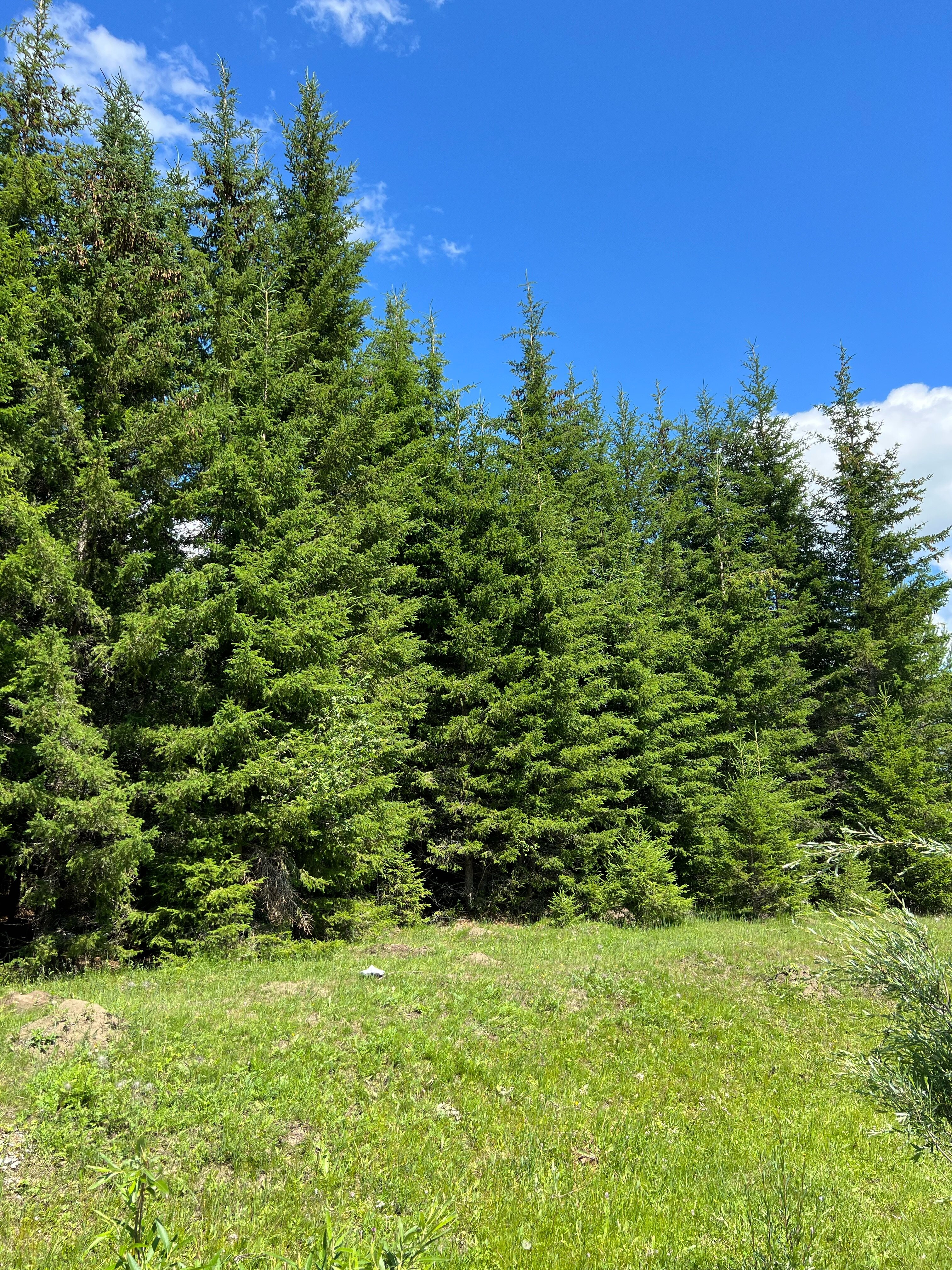 Фото Место силы