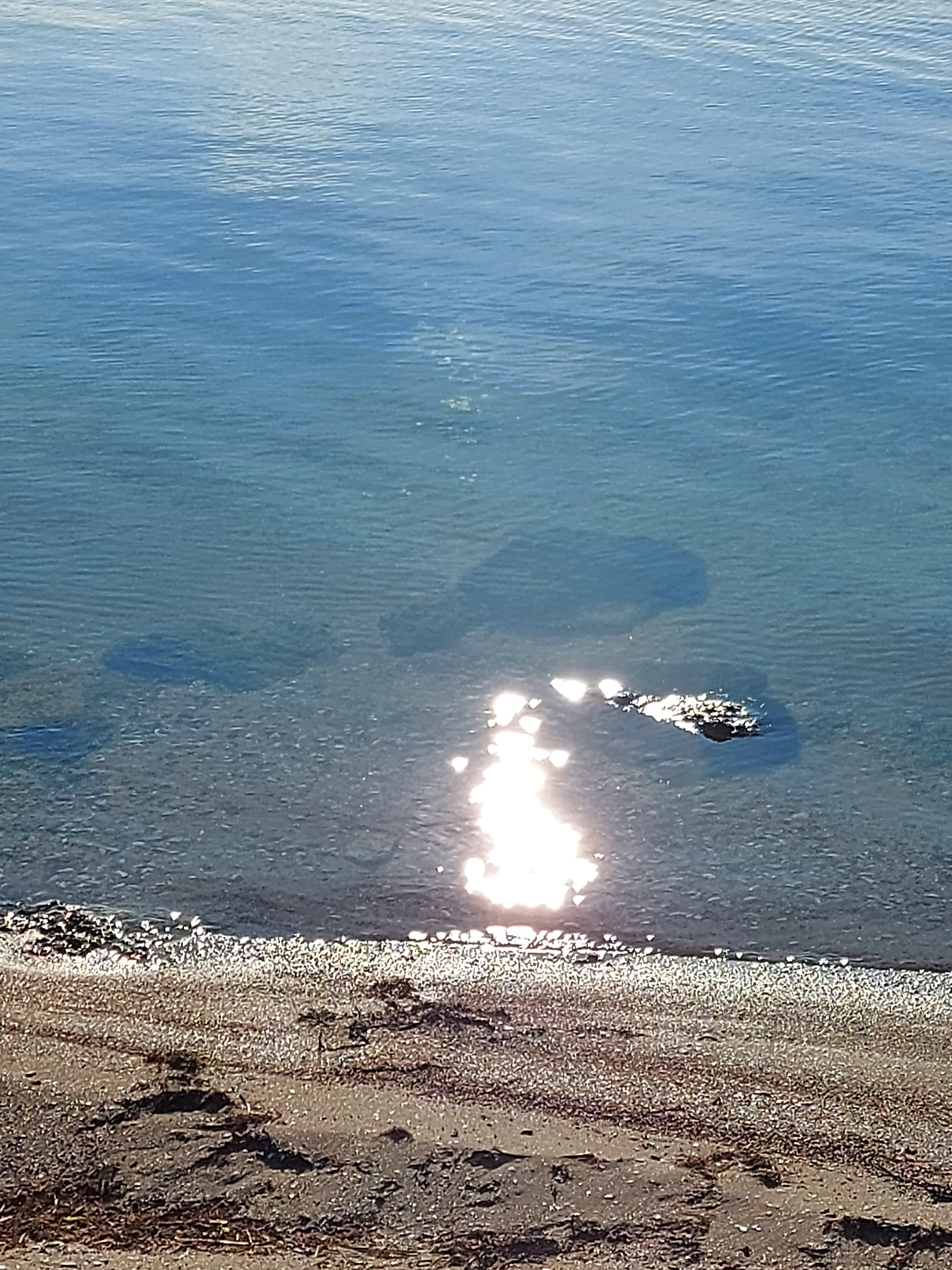 Фото Роза ветров