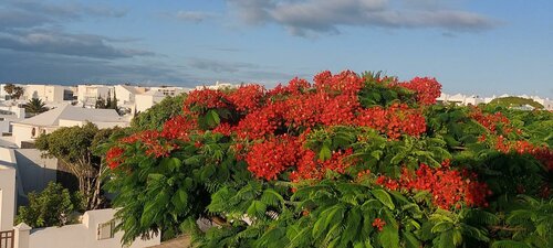 Внешний вид отеля Gloria Izaro Club Hotel в Тиасе, фото 4