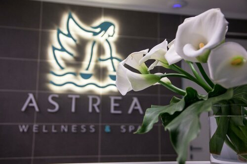 Гостиница Astrea Wellness & SPA