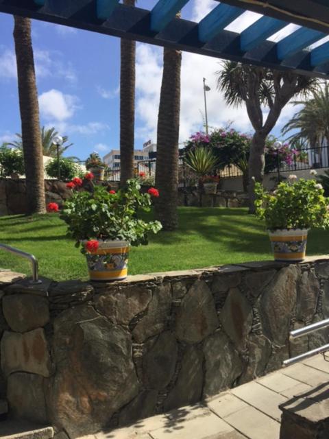 Фото Apartamentos Tamaragua