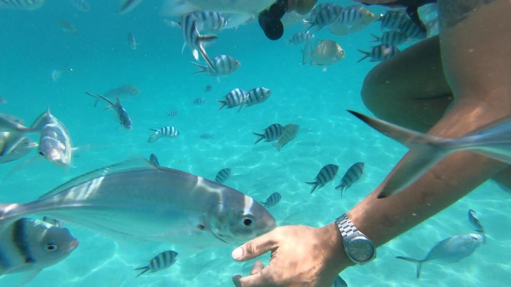 Фото Baanchanlay Kohchang