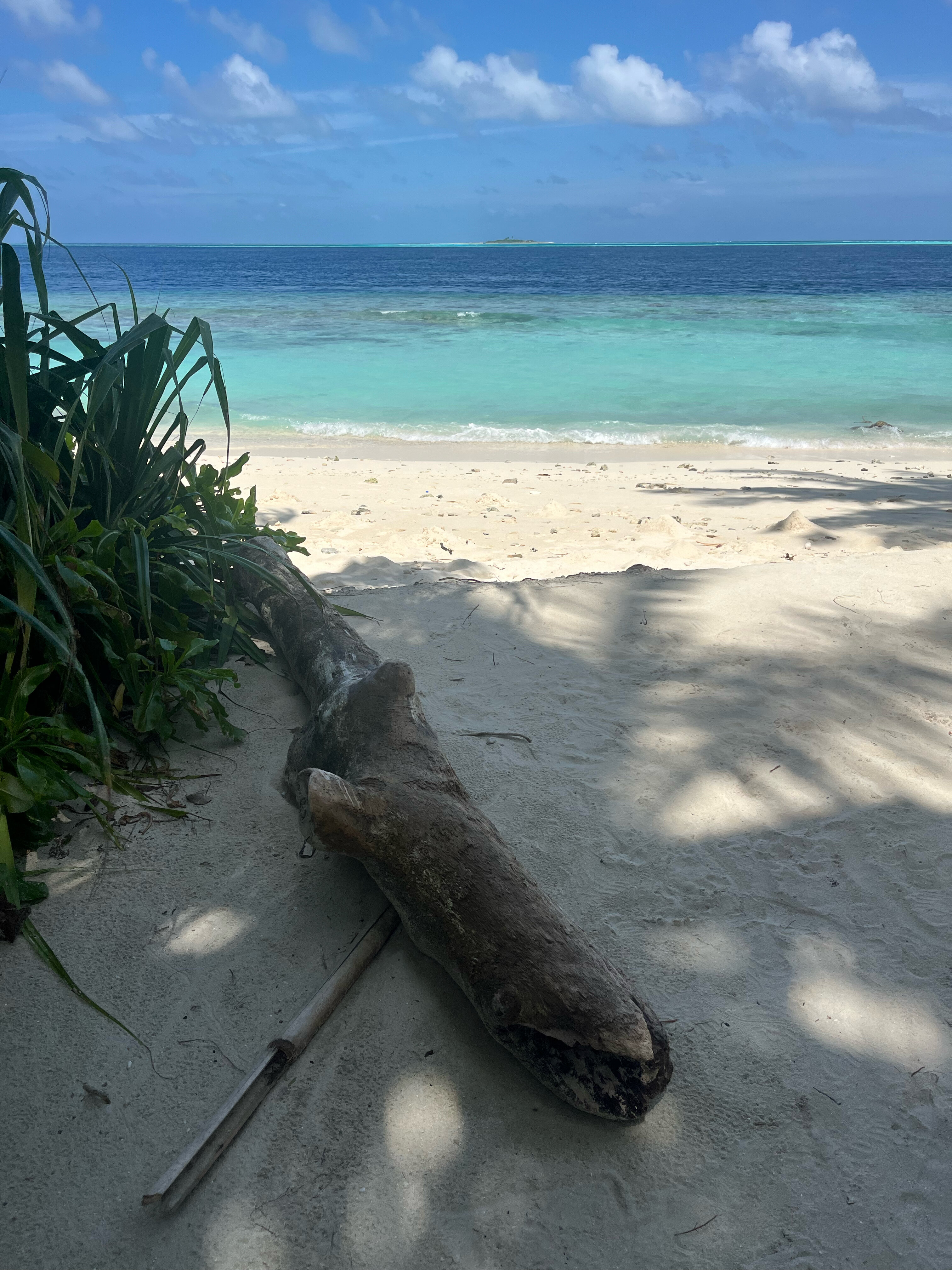 Фото Viva Beach & SPA Maldives