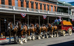 Гостиница Holiday Inn Sacramento Downtown-Arena, an Ihg Hotel