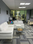 Seldon (Radio Street, 24к2), it company