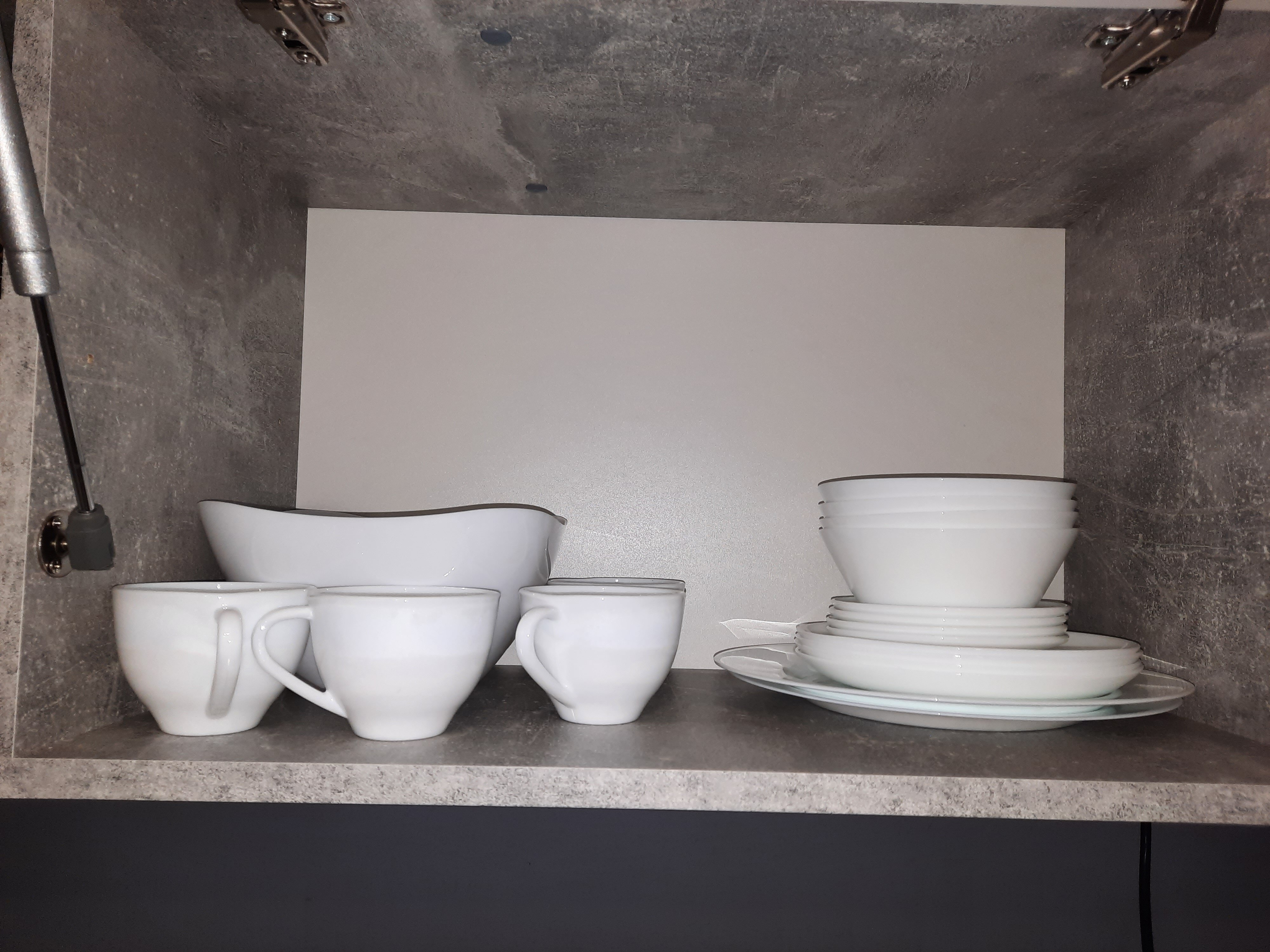 Фото Свобода леса