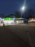 Платформа Загорянская (Moscow Region, Shchyolkovo Urban District, dachny posyolok Zagoryanskiy, Dolgorukogo Street), public transport stop