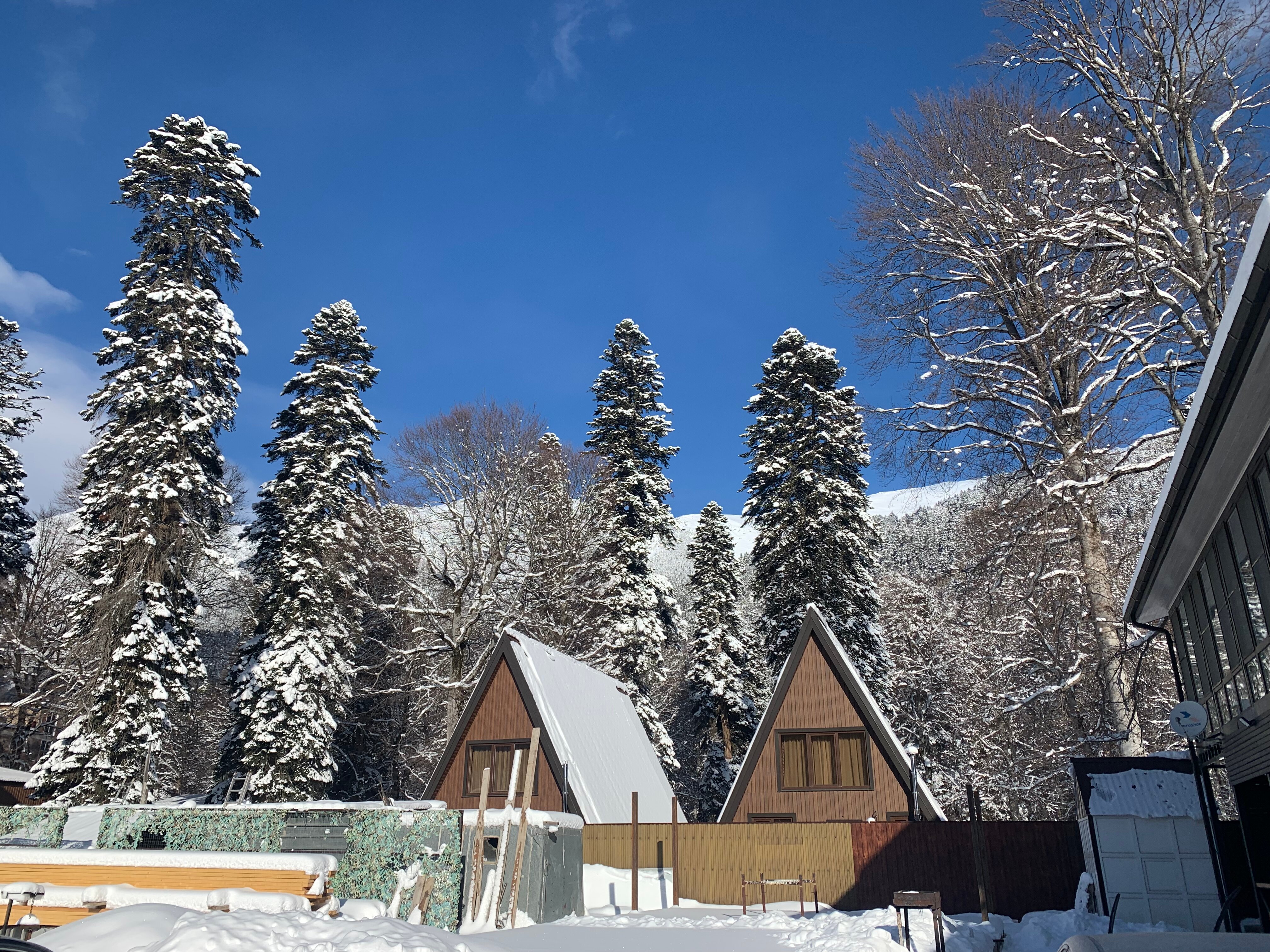 Фото Силагор