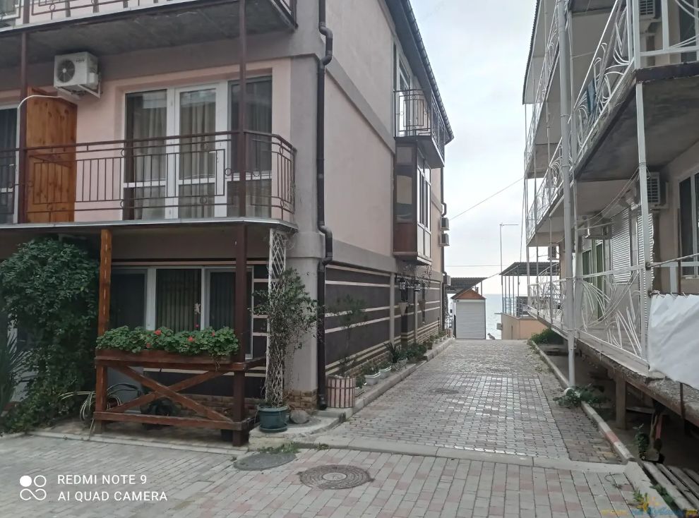 Фото Горная лаванда