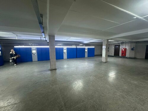 Yalangoch Vasilyeva Elena