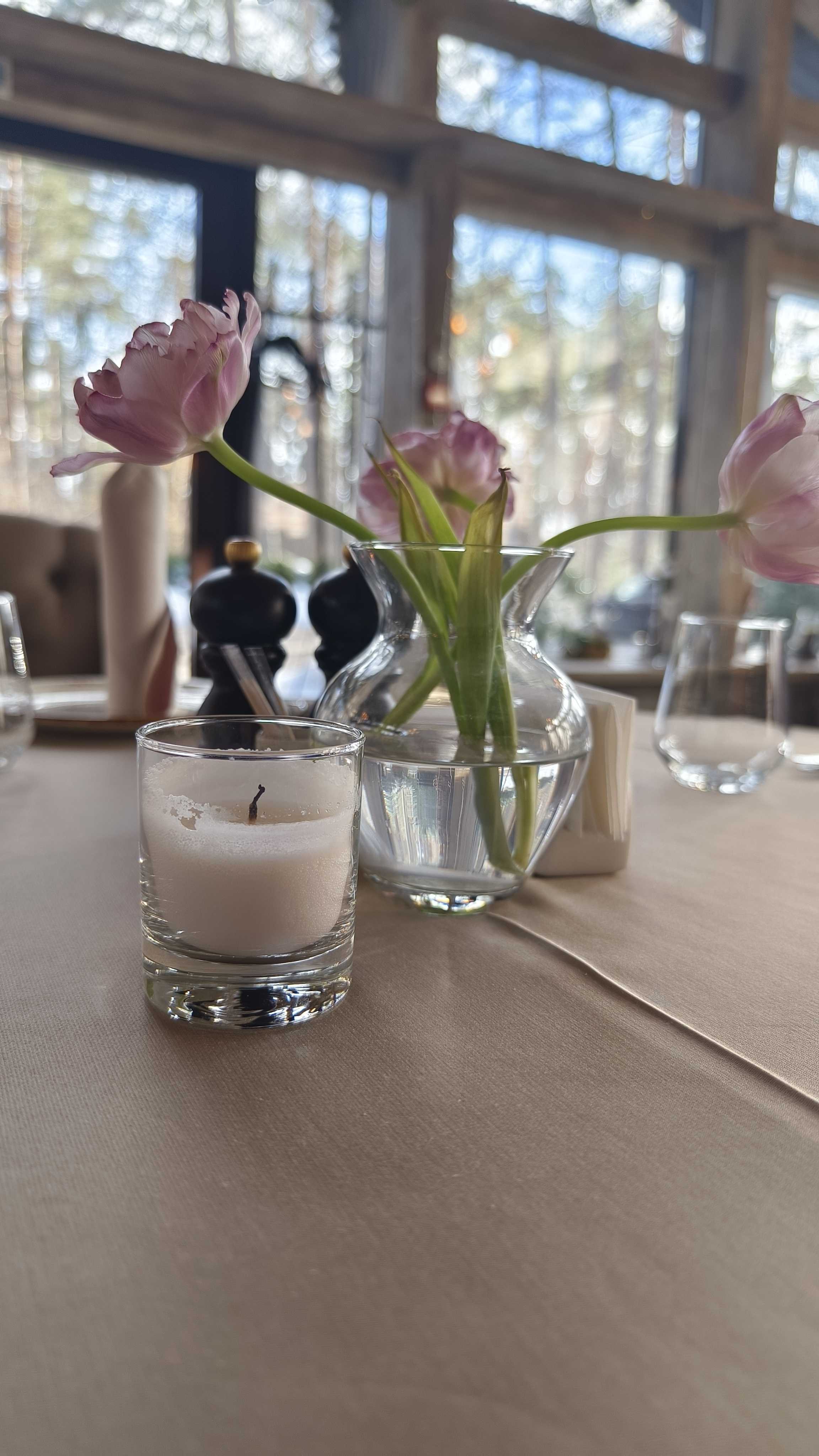 Фото Дубрава