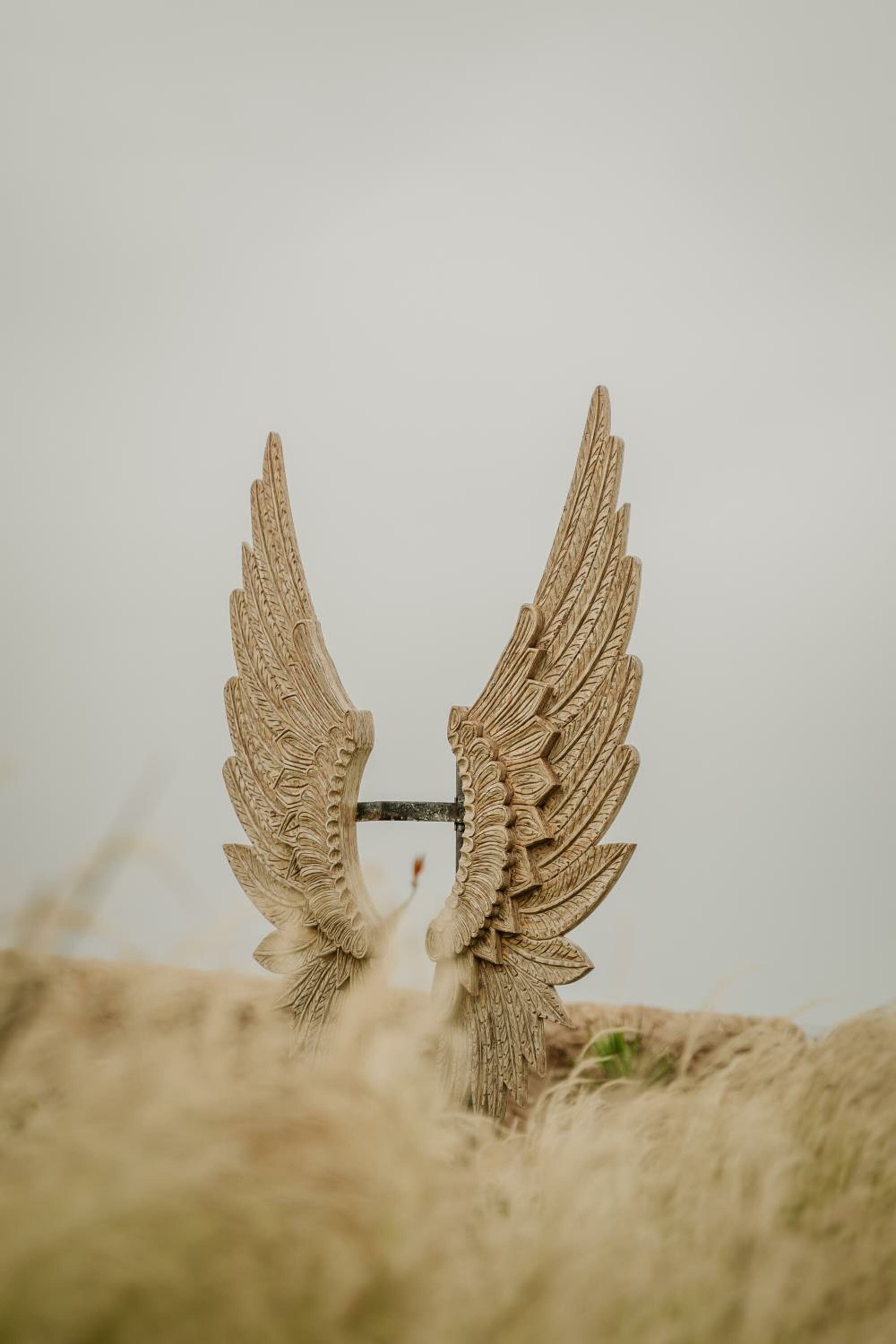 Фото Baberrih Hospitality Palaces & Resorts