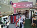 Lotus Underwear (провинция Анкара, район Кечиорен, улица 19 Майыс, 15), магазин нижнего белья в Анкаре
