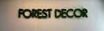 Forest Decor (Geologov Street, 21) ، عمل الليزر