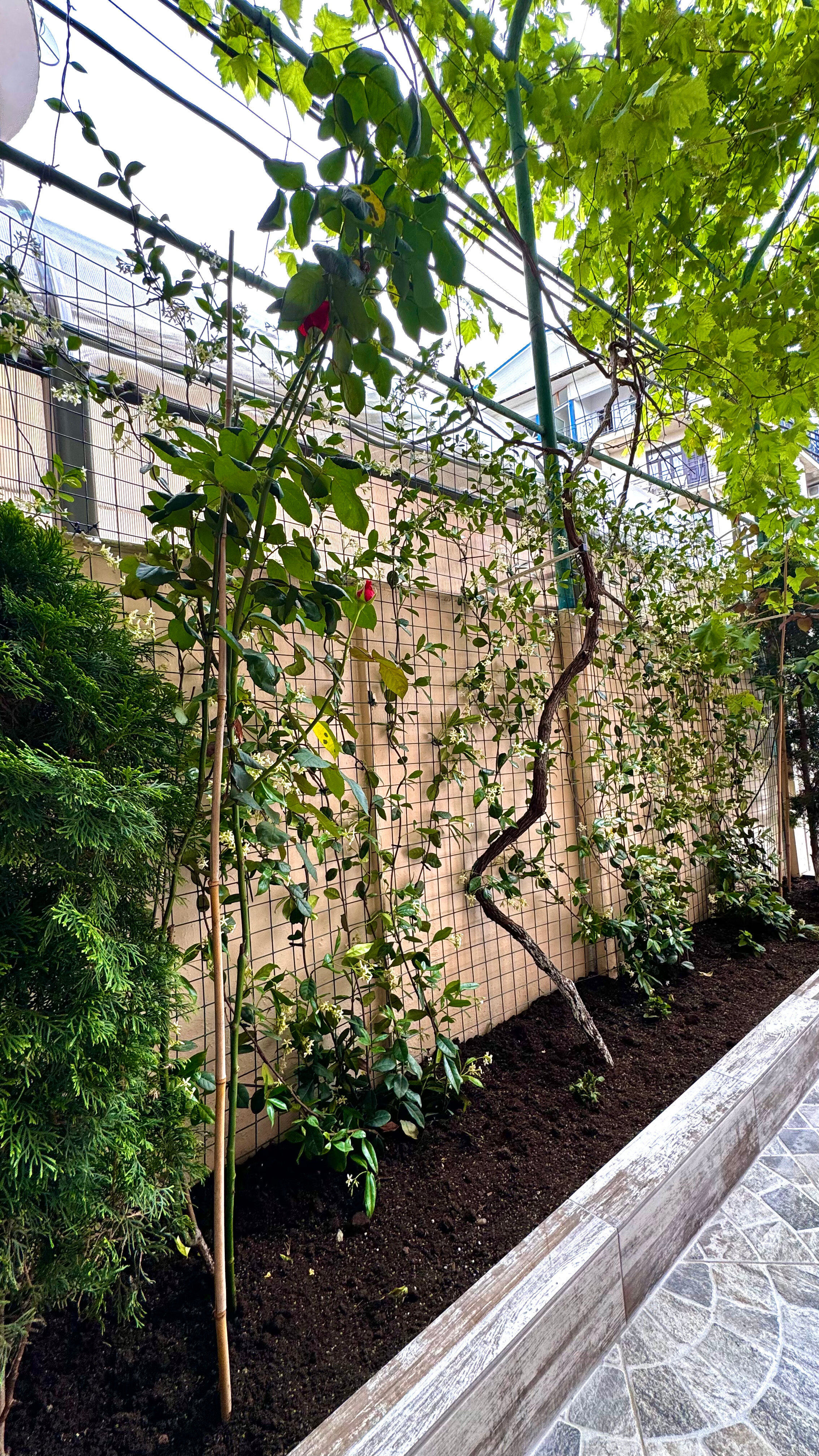 Фото Прибрежный Апартаменты