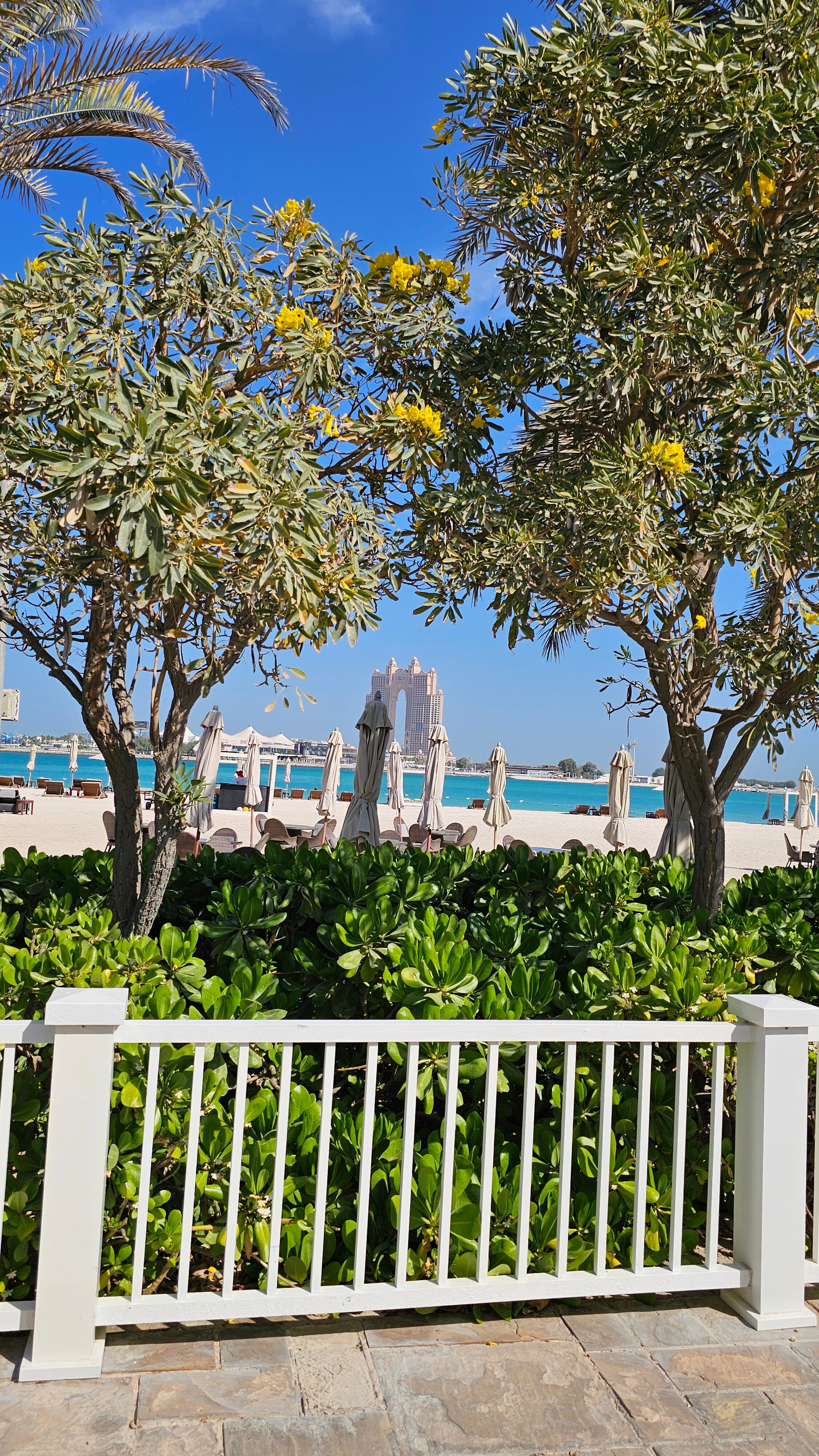 Фото The St. Regis Abu Dhabi