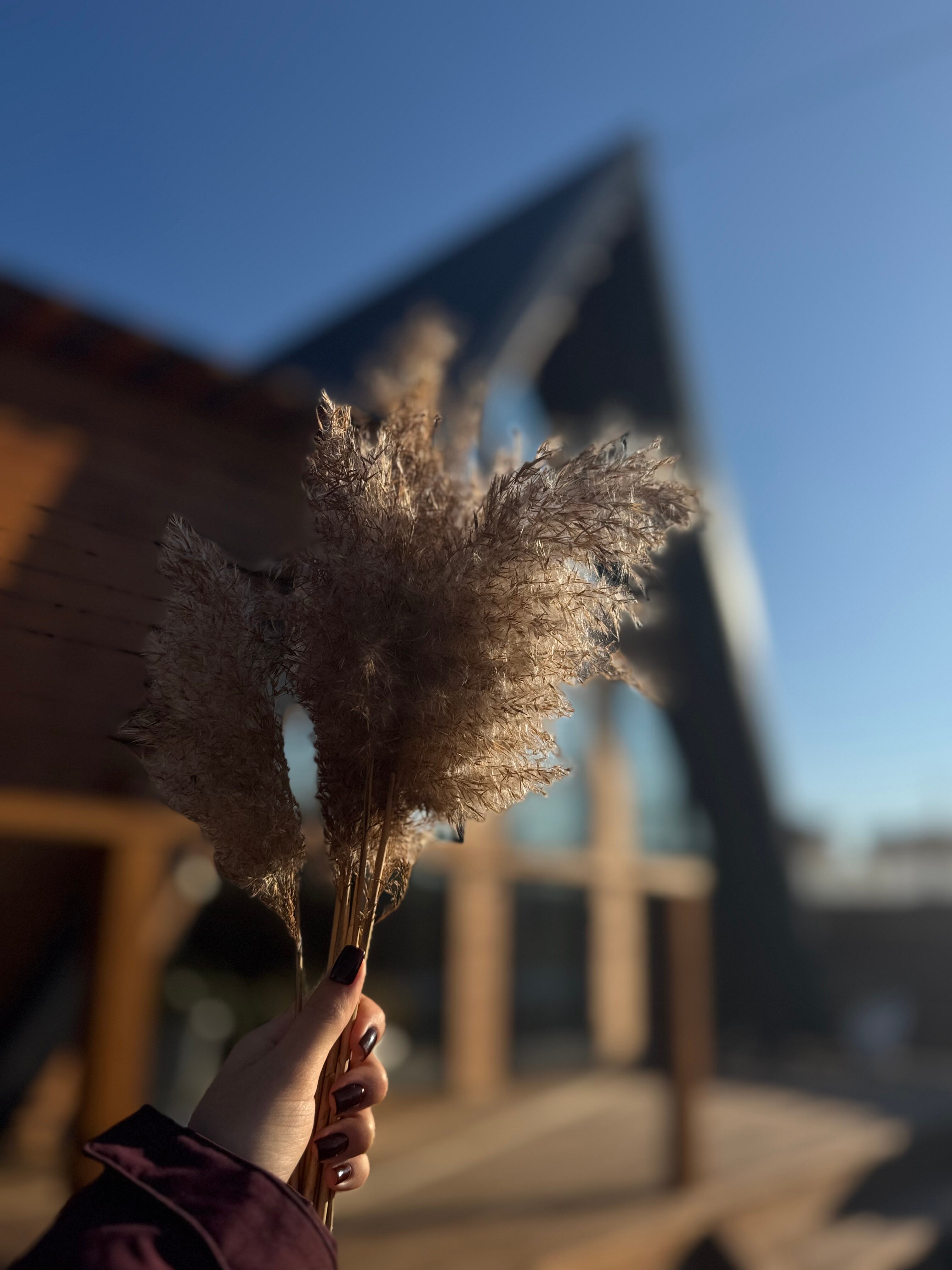 Фото Кандры Хауз