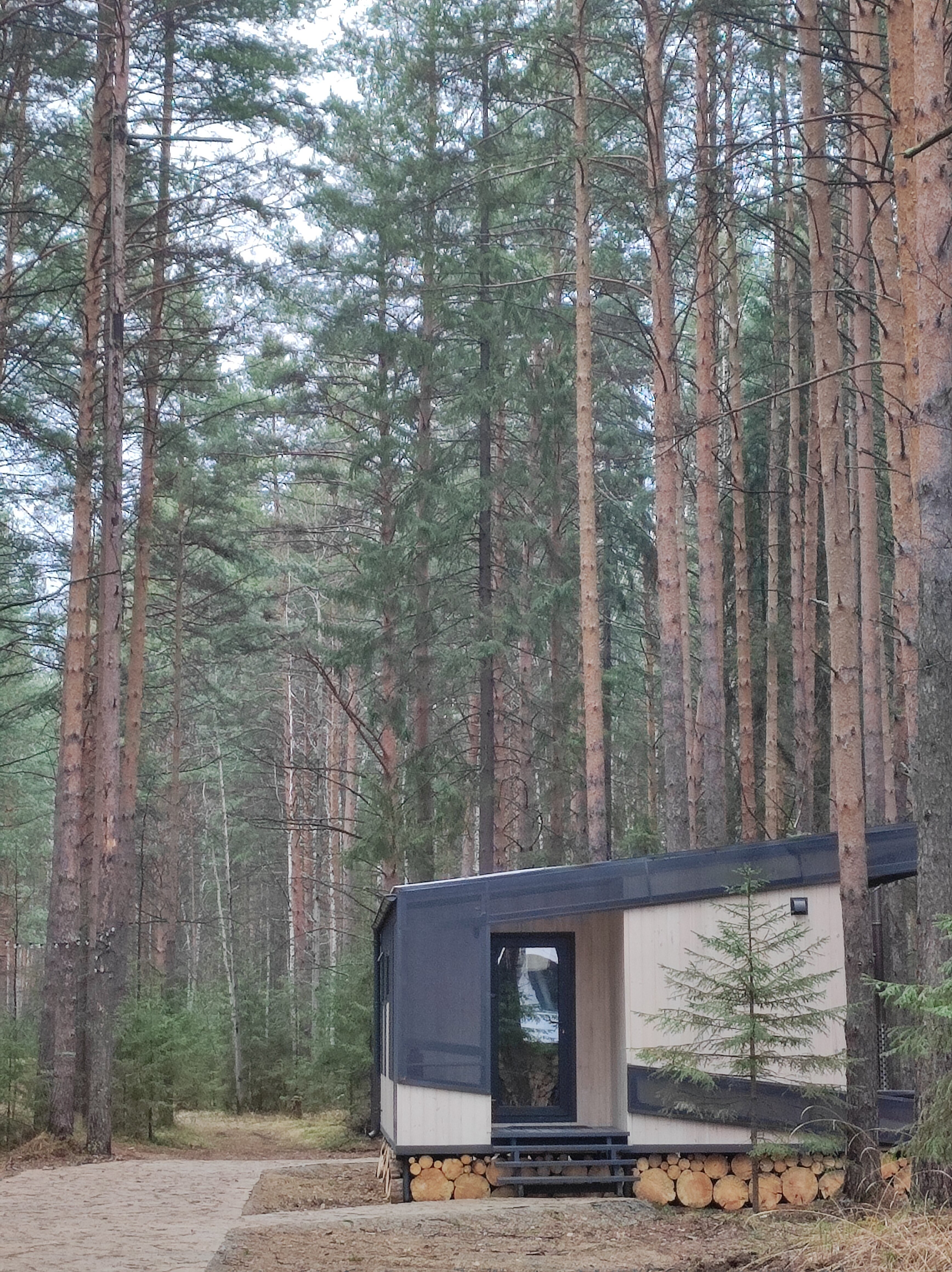 Фото Липкиглэмп