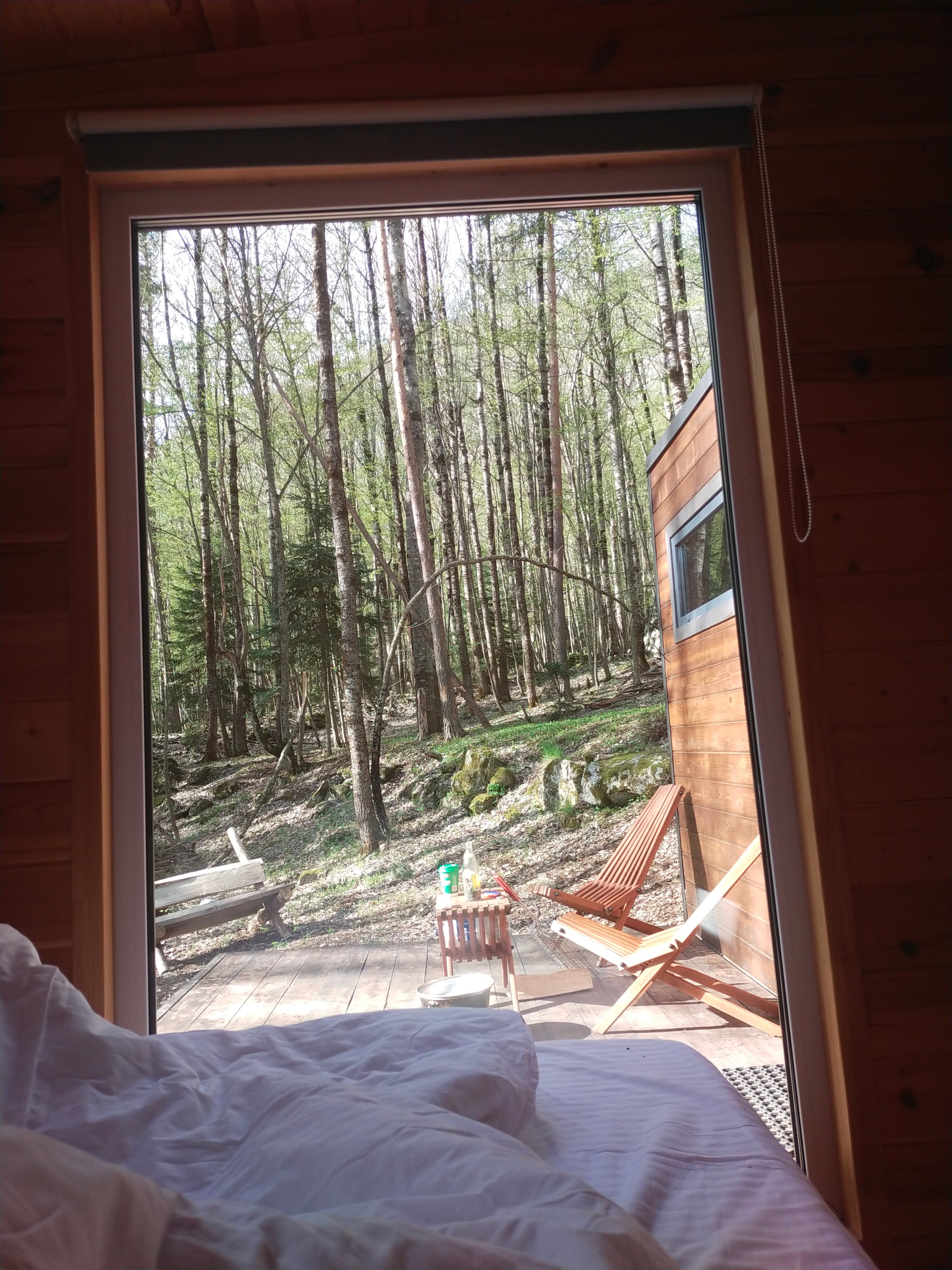 Фото Шелест