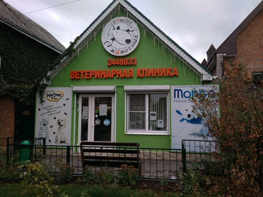 Ремонт животных ул тренева 20 фото