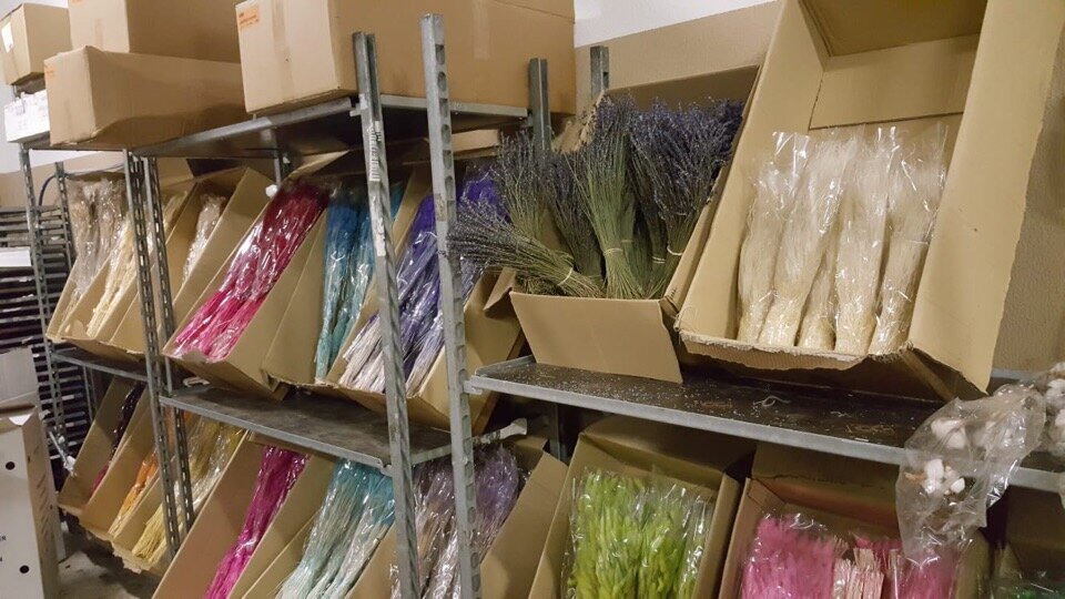 Оптовая компания ЧТУП Юнифлор Импорт цветы и растения оптом, Минск, фото