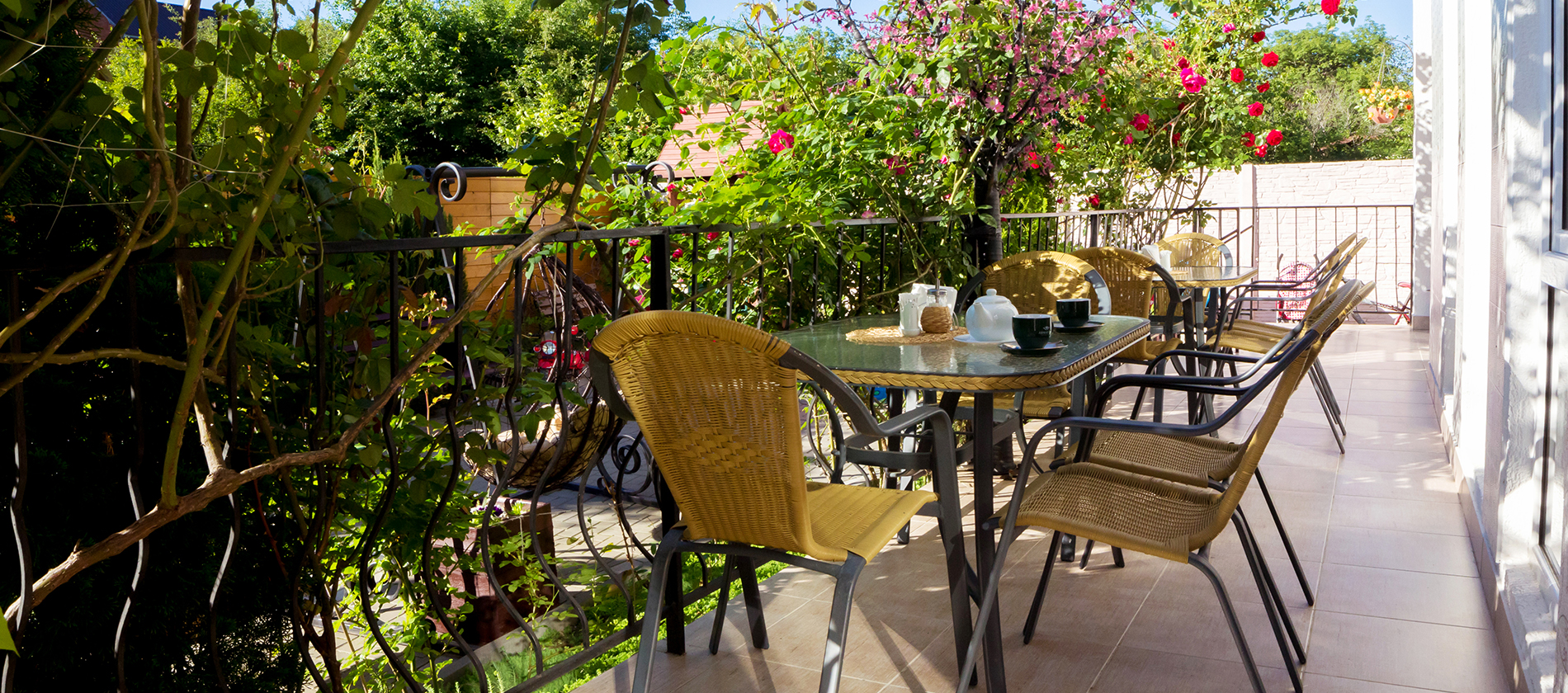 Фото Дольче Вита